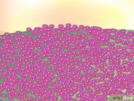 Image titled Grow Ice Plants Step 1