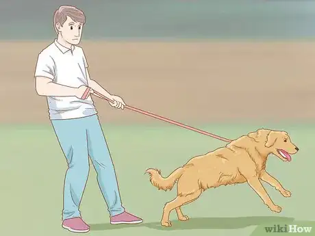 Image titled Train a Golden Retriever Step 6