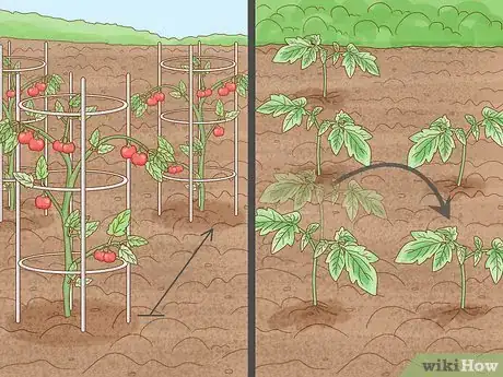 Image titled Prepare Soil for an Organic Garden Step 3