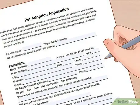 Image titled Adopt a Pair of Kittens Step 5