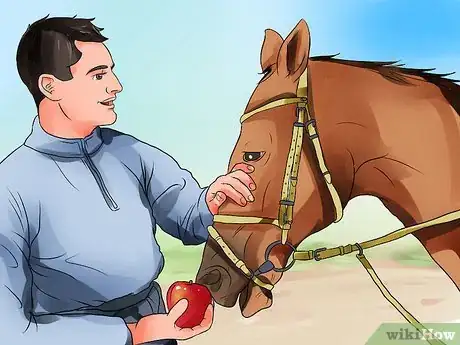 Image titled Be Comfortable Around a Bad‐Tempered Horse Step 3