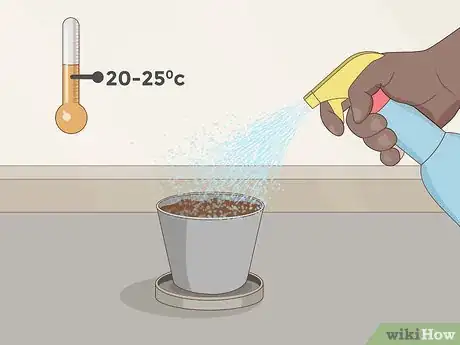 Image titled Grow Sundews Step 14