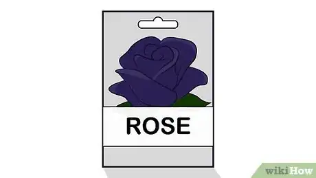 Image titled Grow Black Roses Step 1