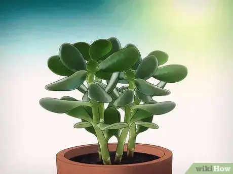 Image titled Choose Plant Soil Step 4