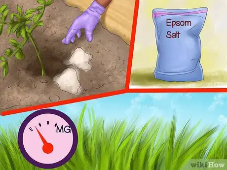 Image titled Feed a Horse Magnesium Step 11