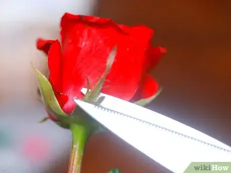 Image titled Sugar Flowers Step 2