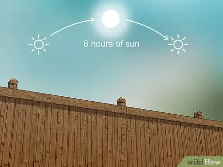 Image titled Grow Protea Step 2