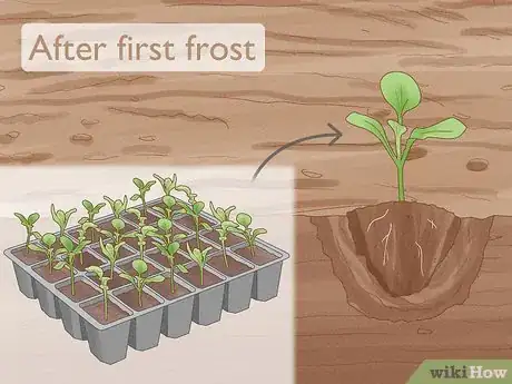 Image titled Grow Vegetables in New England Step 13