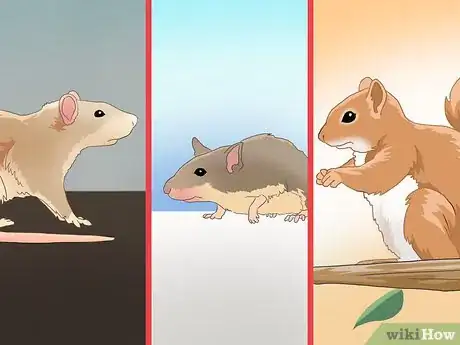 Image titled Catch a Rodent in Your House Step 4