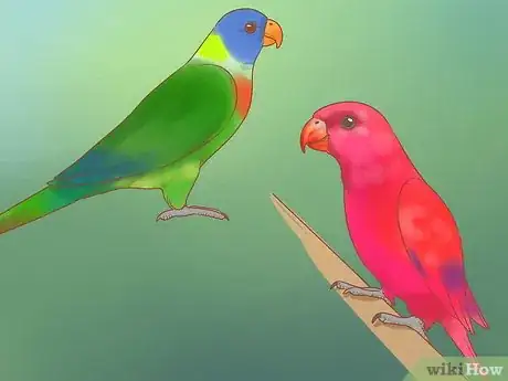 Image titled Know if Lories and Lorikeets Are Right for You Step 12