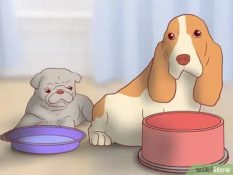 Image titled Educate Yourself As a New Dog Owner Step 1