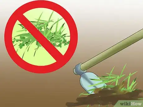 Image titled Grow a Bed Head Garden Step 8