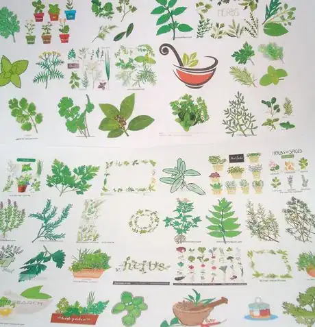 Image titled Diffinherbs
