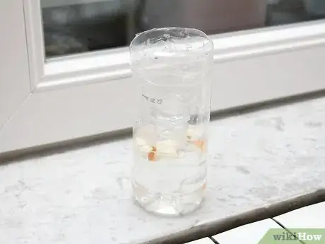 Image titled Make a Fly Trap Step 9