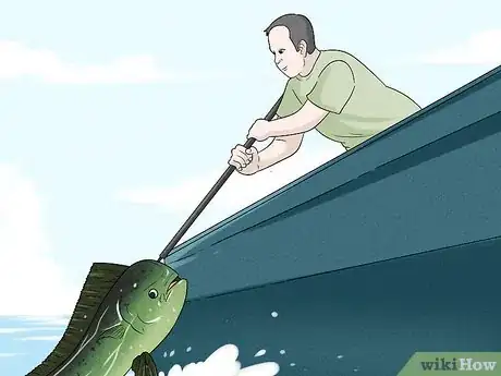 Image titled Catch Dorado Fish Step 12