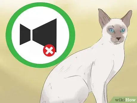 Image titled Identify a Javanese Cat Step 11