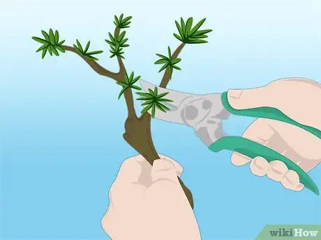 Image titled Propagate Azaleas Step 13