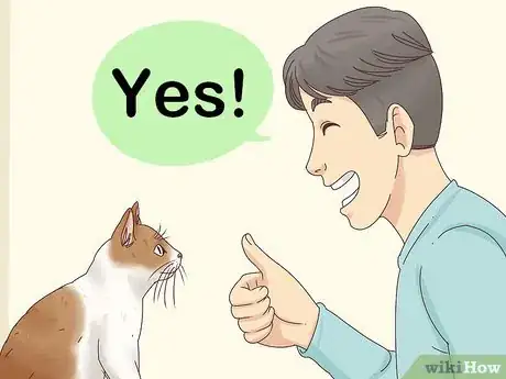 Image titled Countercondition a Cat Step 6