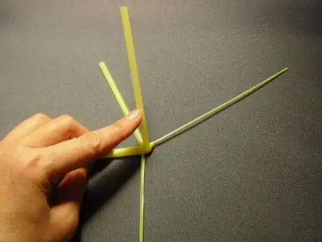 Image titled Shachi20_263.JPG