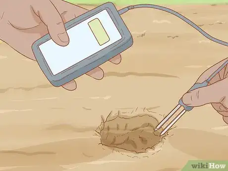 Image titled Plant a Mesquite Tree Step 4