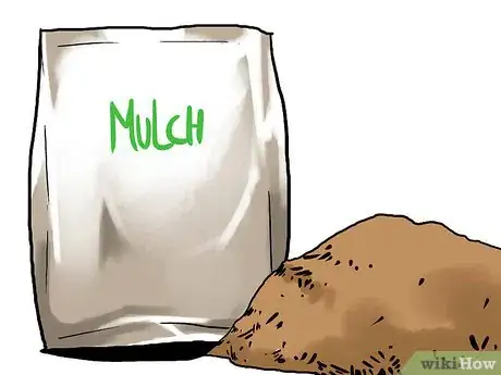 Image titled Grow Winter Onions Step 7