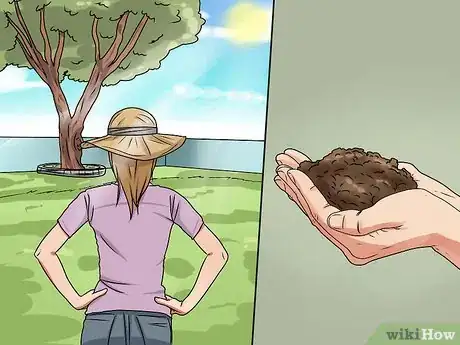 Image titled Plant Step 1