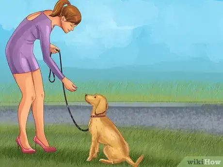 Image titled Get a Dog Out of a Busy Road Step 8