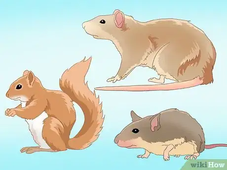 Image titled Catch a Rodent in Your House Step 1