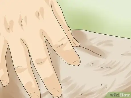 Image titled Detect Skin Cancer in Dogs Step 2