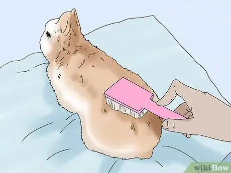 Image titled Keep Your Rabbit Healthy Step 9