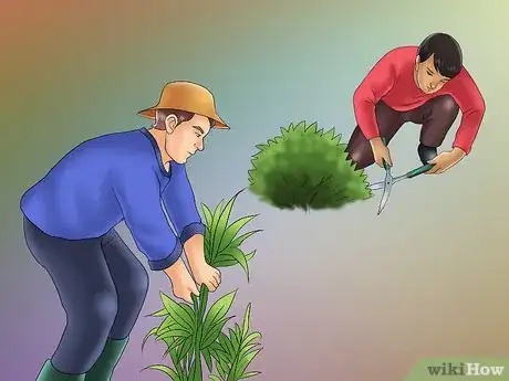 Image titled Prepare Your Garden for a Shed Step 5