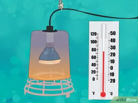 Image titled Wake a Tortoise from Hibernation Step 3