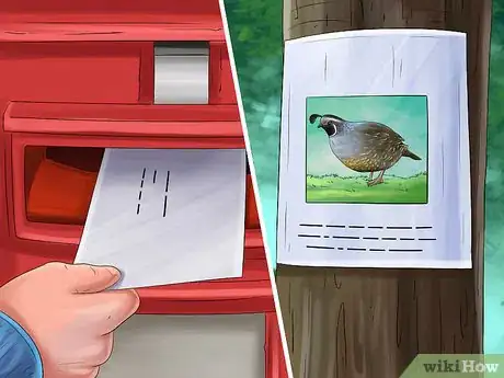 Image titled Sell Quail Step 10