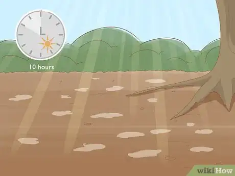 Image titled Plant English Bluebell Bulbs Step 6