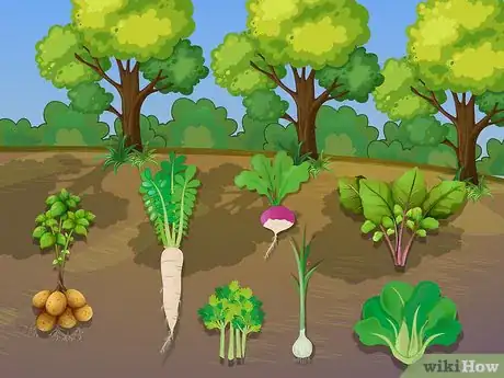 Image titled Plant Your First Garden Step 07