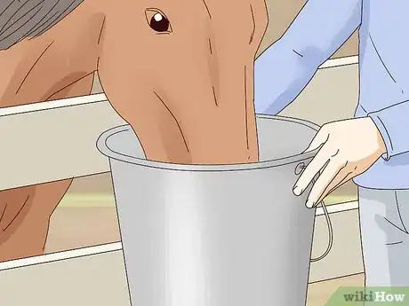 Image titled Prepare Fruit and Vegetables for Horses Step 10