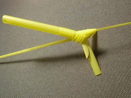 Image titled Shachi27_425.JPG