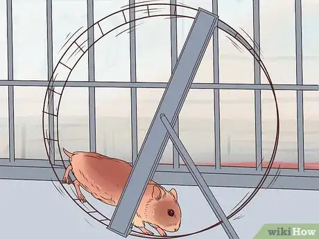 Image titled Prepare a Hamster Cage Step 11