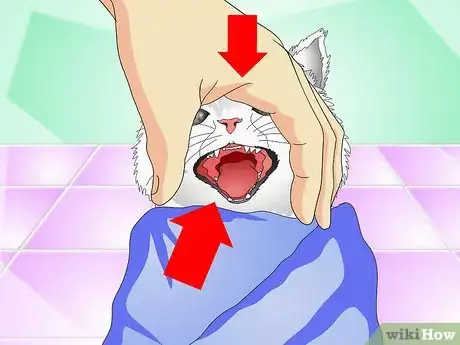 Image titled Give Cats Liquid Medicine Step 6
