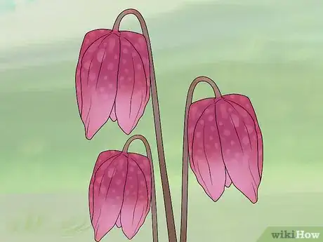 Image titled Plant Bulbs in Grass Step 8