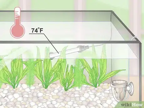 Image titled Set up a Planted Goldfish Aquarium Step 16