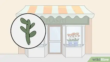 Image titled Grow Euphorbia Step 6