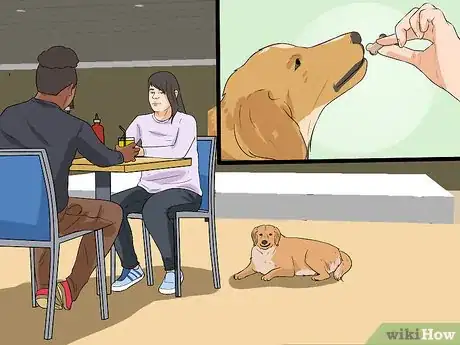 Image titled Keep a Dog from Sneaking Human Food Step 9