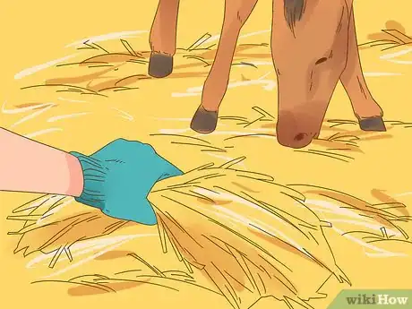 Image titled Care for a Foal Step 8