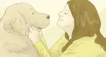 Cope with a Lack of Trust in Political Leaders