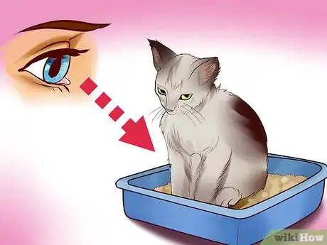 Image titled Choose a Kitty Litter Step 4