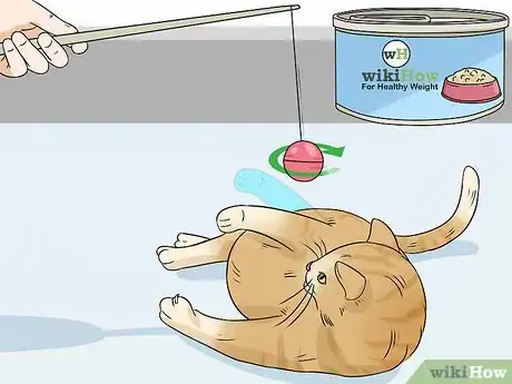 Image titled Deal with a Snoring Cat Step 7