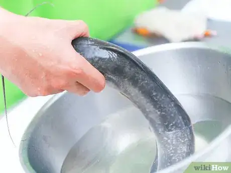 Image titled Freeze Fish Step 7