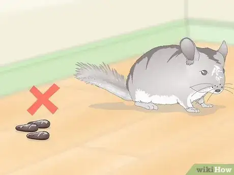 Image titled Supplement Nutrients in Your Chinchilla's Diet Step 8
