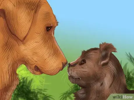 Image titled Socialize a Fearful Cat Step 12